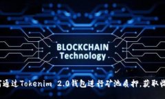 如何通过Tokenim 2.0钱包进行矿池质押，获取收益？