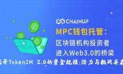 揭开TokenIM 2.0的资金规模：潜力与挑战并存！