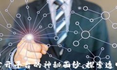 揭开区块链投票公开平台的神秘面纱，探索透明