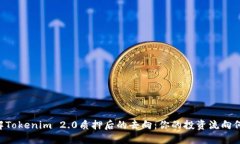 了解Tokenim 2.0质押后的去向：你的投资流向何方？