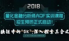 揭秘区块链中的“SK”：深入探索其含义与应用