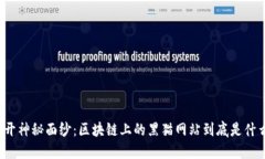 揭开神秘面纱：区块链上的黑猫网站到底是什么