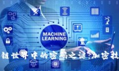 揭开区块链世界中的密码之谜：加密技术的核心