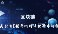 区块链是什么？揭开比特币世界中的神秘面纱