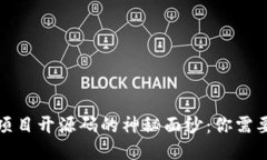 揭开区块链项目开源码的神秘面纱：你需要知道