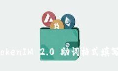 深入了解 TokenIM 2.0 助词格式填写技巧与实践