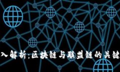 : 深入解析：区块链与联盟链的关键区别