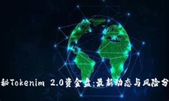 探秘Tokenim 2.0资金盘：最新动态与风险分析