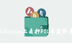 如何在Tokenim上质押FIL并获取丰厚回报