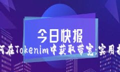 如何在Tokenim中获取带宽：实用指南
