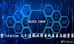 解密Tokenim 2.0：透视比特币的未来及投资策略