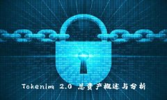 Tokenim 2.0 总资产概述与分析
