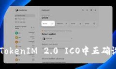 如何在TokenIM 2.0 ICO中正确设置Gas