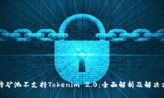 蜜蜂矿池不支持Tokenim 2.0：全面解析及解决方案