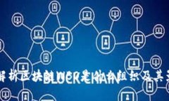 深入解析区块链WBO是什么组织及其影响力