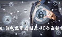 Tokenim 2.0 钱包能否存储屎币？全面解析和用户指