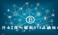 BTS区块链是什么？深入解析BTS区块链的功能与应