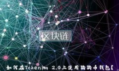 如何在Tokenim 2.0上使用狗狗币钱包？