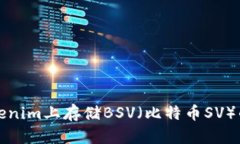 如何在Tokenim上存储BSV（比特币SV）的完整指南