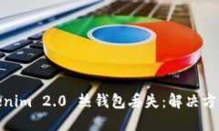 如何应对Tokenim 2.0 热钱包丢失：解决方案与预防