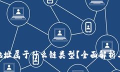 Tokenim地址属于什么链类型？全面解析与使用指南