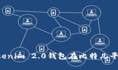 如何通过Tokenim 2.0钱包在比特儿平台提取USDT