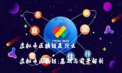 虚拟币区块链是什么 虚拟币区块链：基础与前景