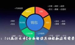 : 1st是什么币？全面解读其功能和应用前景