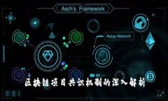 区块链项目共识机制的深入解析