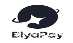 Tokenim 2.0提币多久到账？详解提币流程与时间