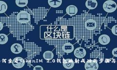 : 如何查看TokenIM 2.0钱包映射成功的步骤与技巧