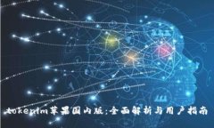 tokenim苹果国内版：全面解析与用户指南