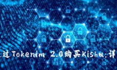 如何通过Tokenim 2.0购买Kishu：详细指南