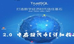 如何在 Tokenim 2.0 中存储代币？详细指南与常见问