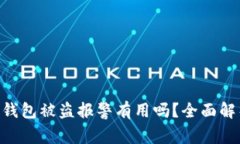 Tokenim 2.0钱包被盗报警有用吗？全面解析与应对措