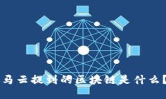 马云提到的区块链是什么？