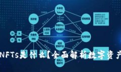 区块链NFTs是什么？全面解析数字资产的未来