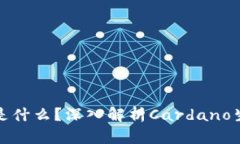 区块链ADA是什么？深入解析Cardano生态及其应用