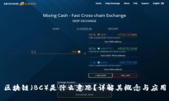 区块链（BC）是什么意思？详解其概念与应用