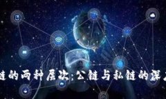 区块链的两种层次：公链与私链的深度解析