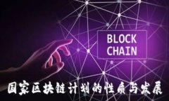   国家区块链计划的性质与发展