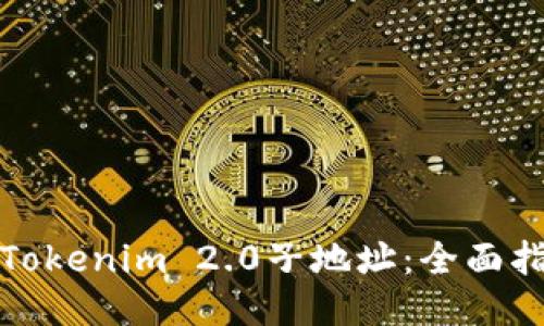 轻松添加Tokenim 2.0子地址：全面指南及技巧