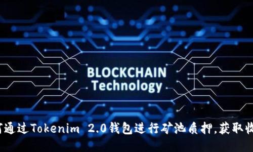 如何通过Tokenim 2.0钱包进行矿池质押，获取收益？