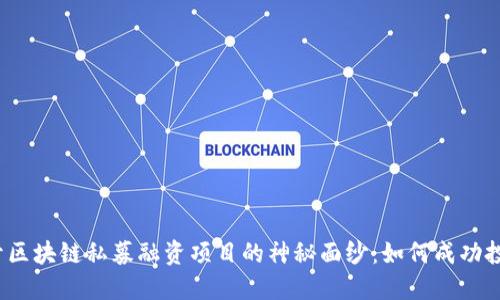 揭开区块链私募融资项目的神秘面纱：如何成功投资？