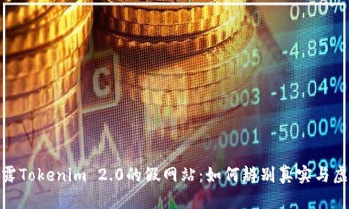揭露Tokenim 2.0的假网站：如何辨别真实与虚假