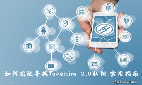 如何高效寻找Tokenim 2.0私钥：实用指南