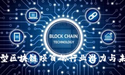 揭秘新型区块链项目的行业潜力与未来发展
