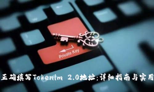 如何正确填写Tokenim 2.0地址：详细指南与实用技巧