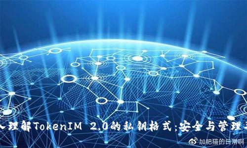 深入理解TokenIM 2.0的私钥格式：安全与管理并重