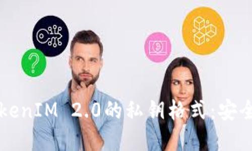 深入理解TokenIM 2.0的私钥格式：安全与管理并重